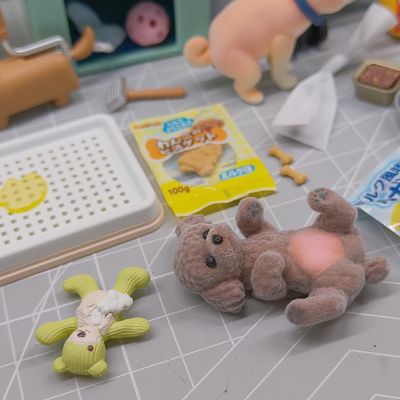 小小样品 狗狗作伴