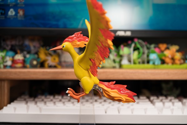 宝可梦比例世界 关都地区 急冻鸟+闪电鸟+火焰鸟