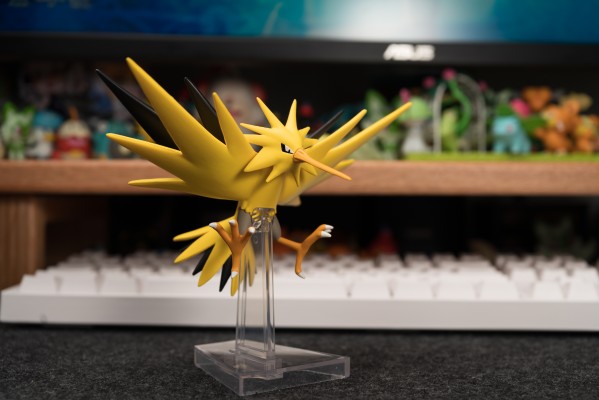 宝可梦比例世界 关都地区 急冻鸟+闪电鸟+火焰鸟