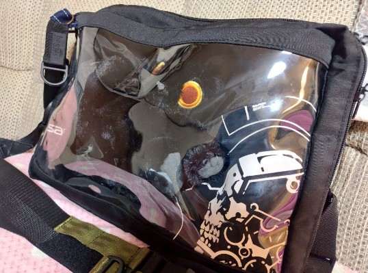 死亡搁浅2 毛绒玩偶 开罗尔生物 (猫)