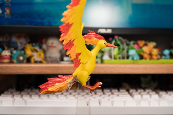 宝可梦比例世界 关都地区 急冻鸟+闪电鸟+火焰鸟