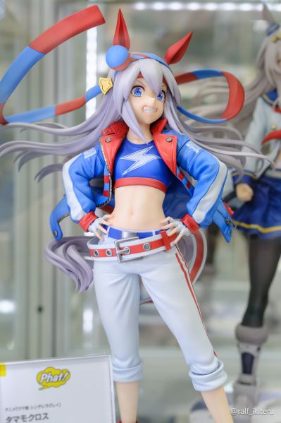 赛马娘 芦毛灰姑娘 玉藻十字