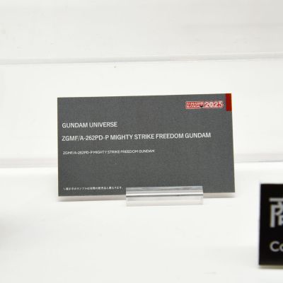 高达宇宙 ZGMF/A-262PD-P 非凡强袭自由高达