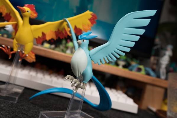 宝可梦比例世界 关都地区 急冻鸟+闪电鸟+火焰鸟