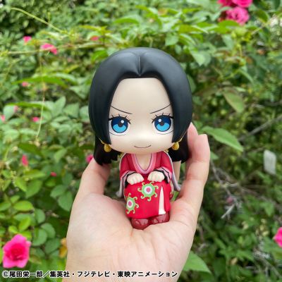 Look up 航海王 波雅·汉库克