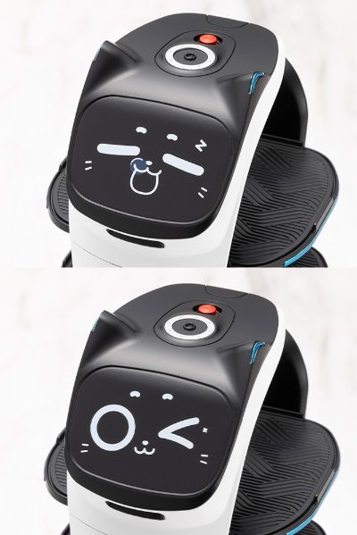 Pudu 大号贝拉机器人