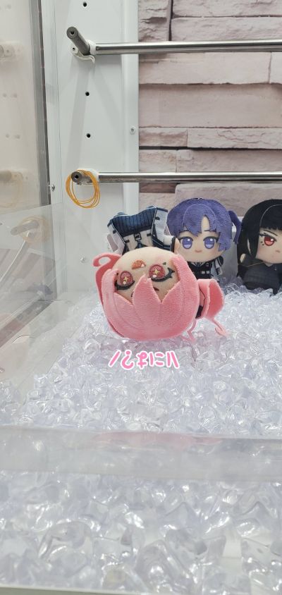 蔚蓝档案  小小谷努咪～研讨会～（待检资料）