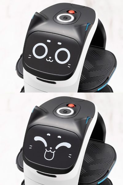 Pudu 大号贝拉机器人