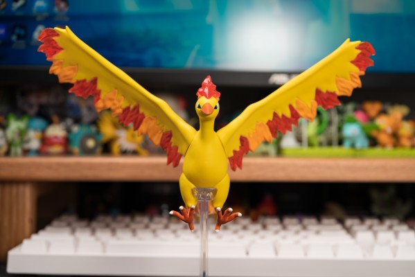 宝可梦比例世界 关都地区 急冻鸟+闪电鸟+火焰鸟