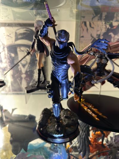 忍者龙剑传系列 龙隼